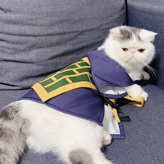 Rogue Sorcerer Cat Outfit