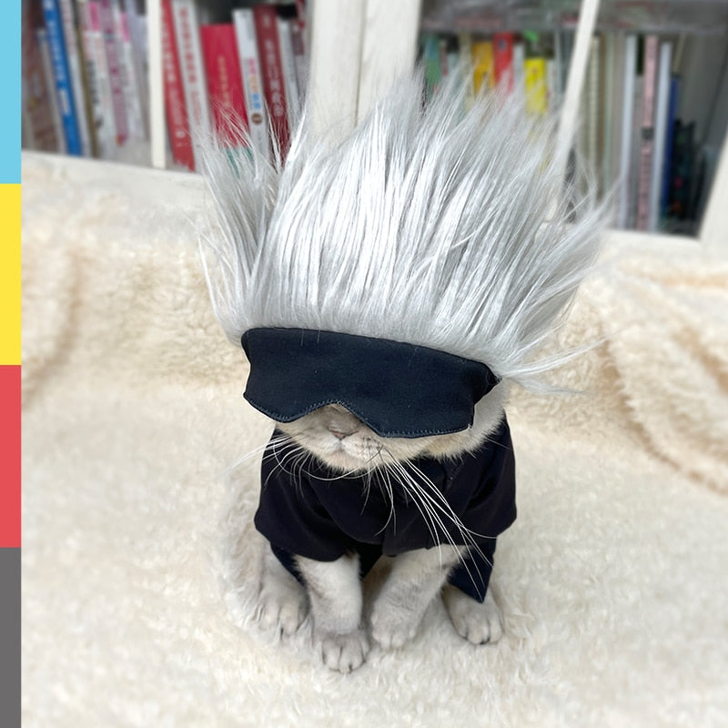 Sorcerer Cat Cosplay Set