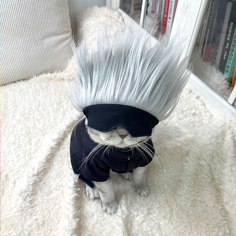Sorcerer Cat Cosplay Set