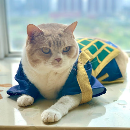 Rogue Sorcerer Cat Outfit