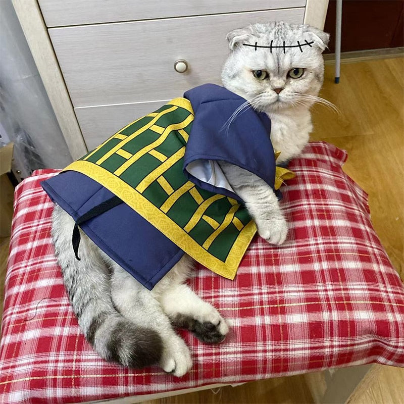 Rogue Sorcerer Cat Outfit
