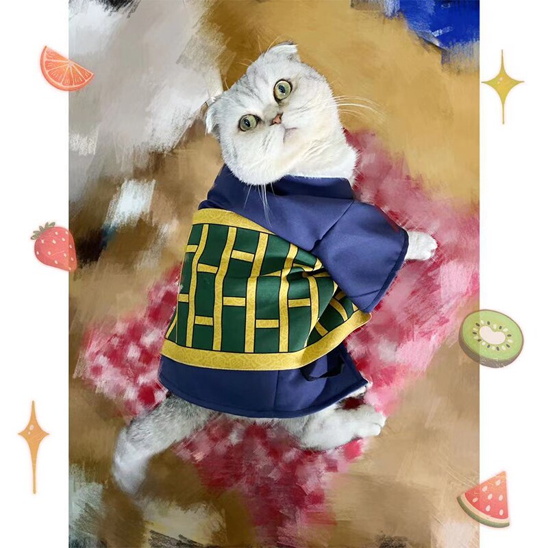 Rogue Sorcerer Cat Outfit