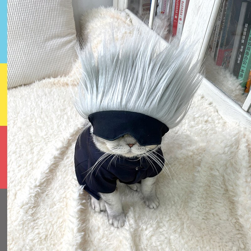 Gojo Pet Clothes